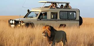 How many days do I need for a Kenya–Uganda–Rwanda safari?