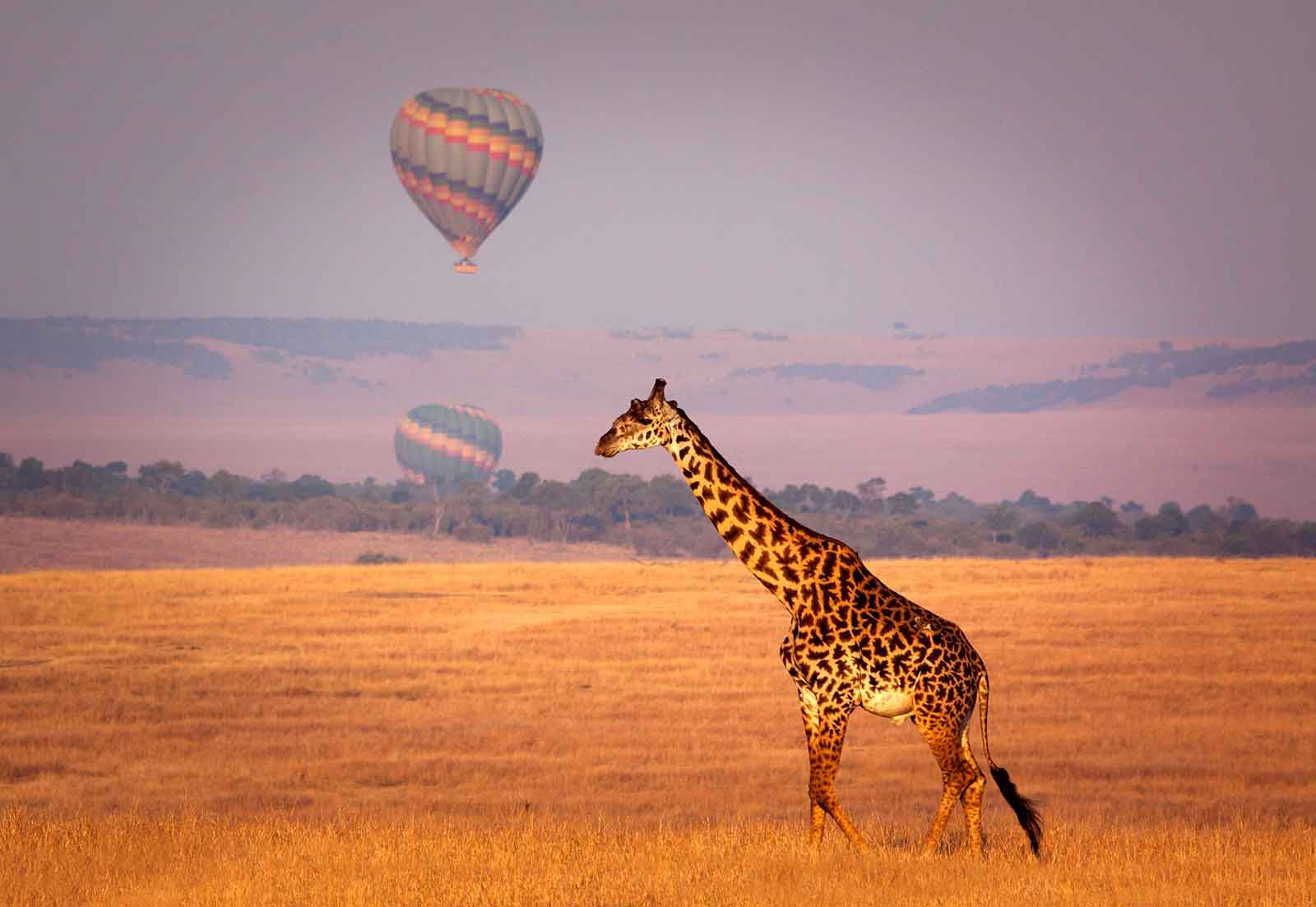 How many days do I need for a Kenya–Uganda–Rwanda safari?