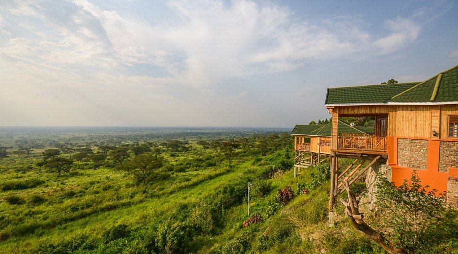 How Strong Is Wi-Fi in Lodges?