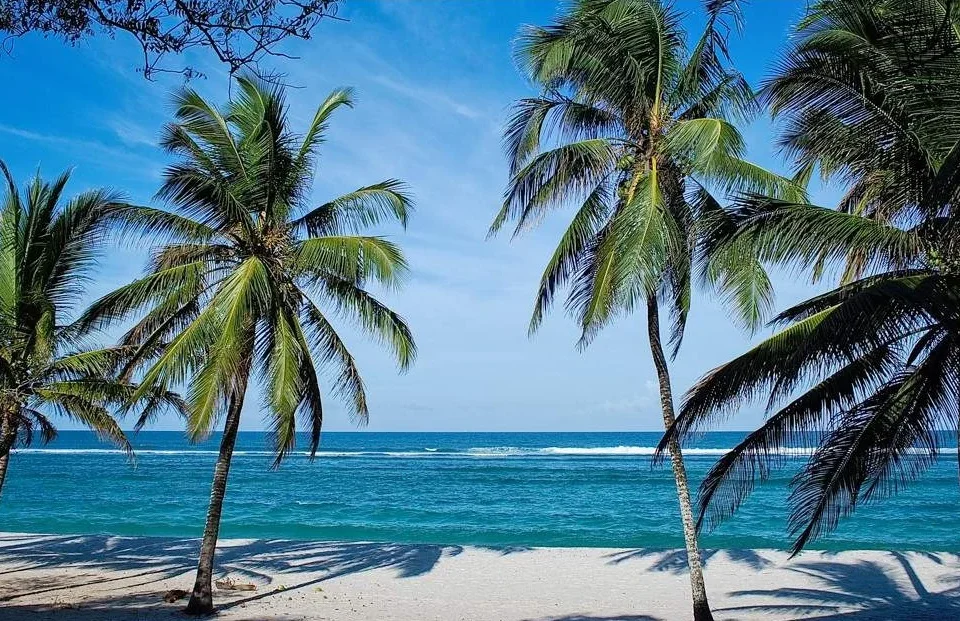 How to plan a 10-day Kenya safari and beach combo?