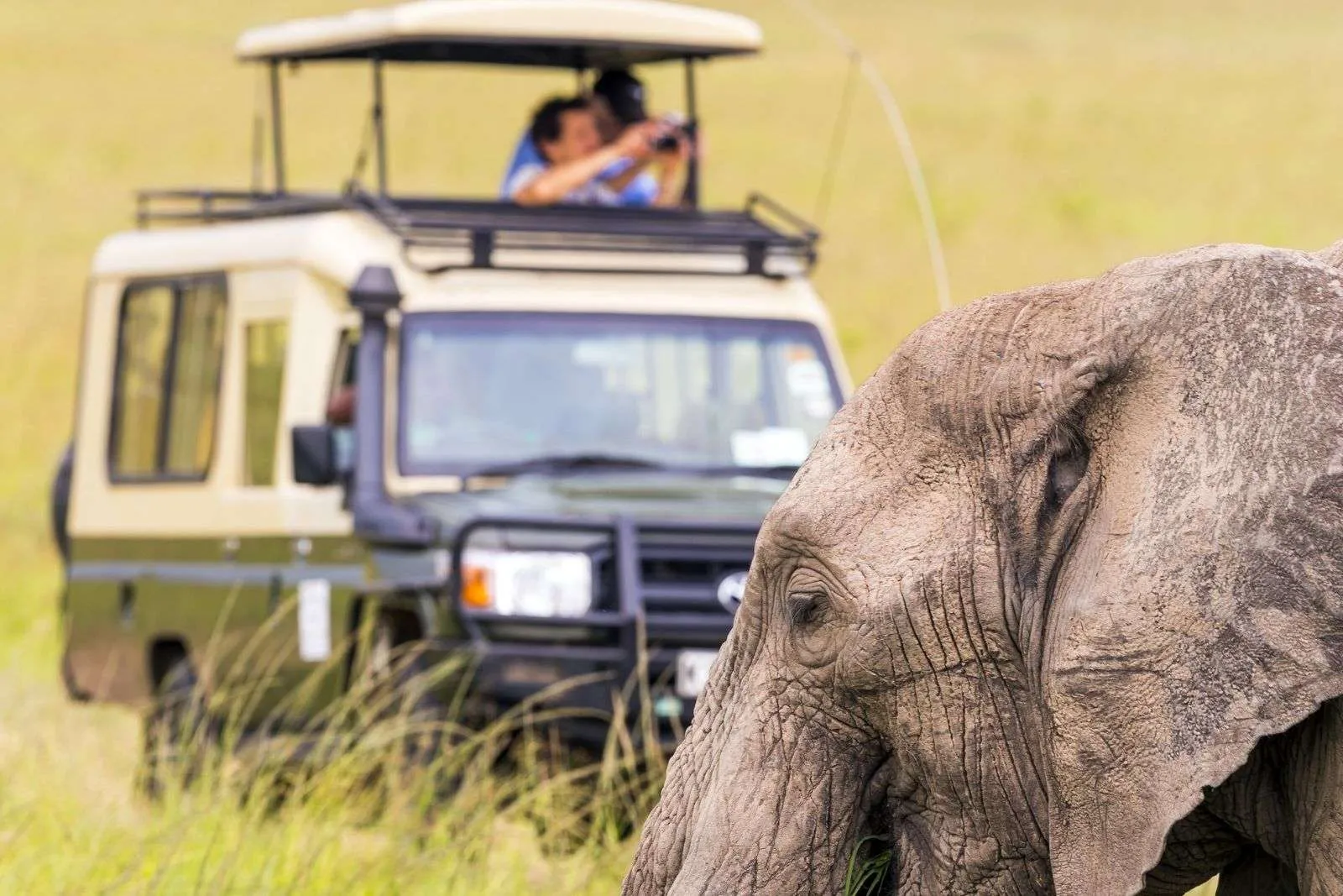 Top Uganda Safari Packages to Book Now