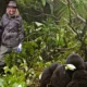 Uganda 5-Day Gorilla and Wildlife Tour