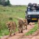 Uganda Best Safari Routes