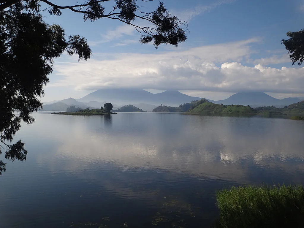 Uganda Birdwatching on Lake Mutanda