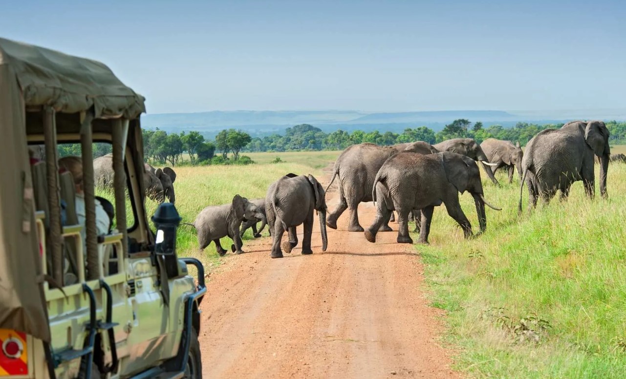 Uganda Family Safari Tours Guide