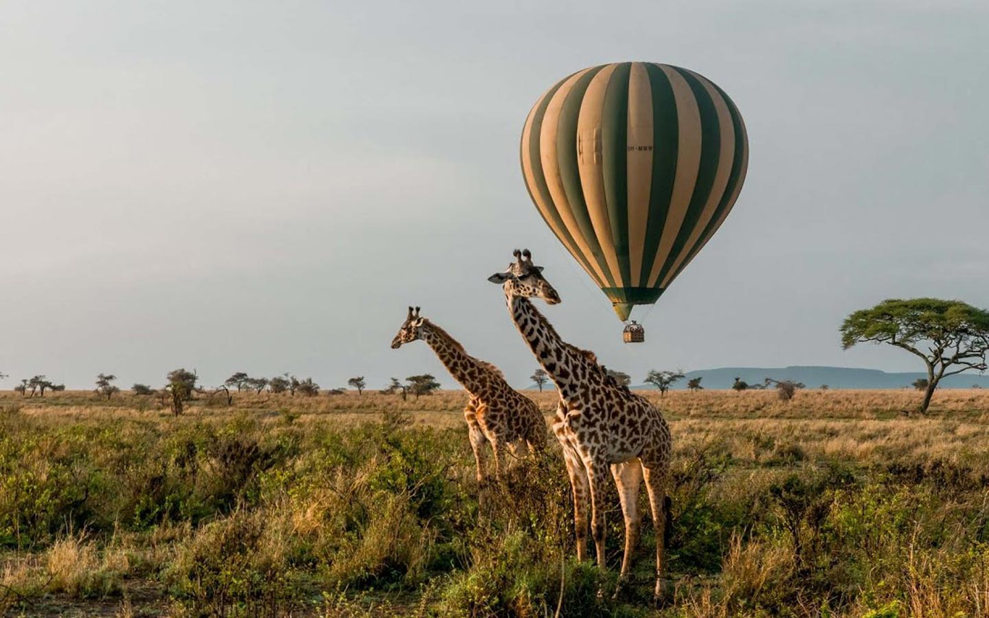 Uganda Hot Air Balloon Safari Info