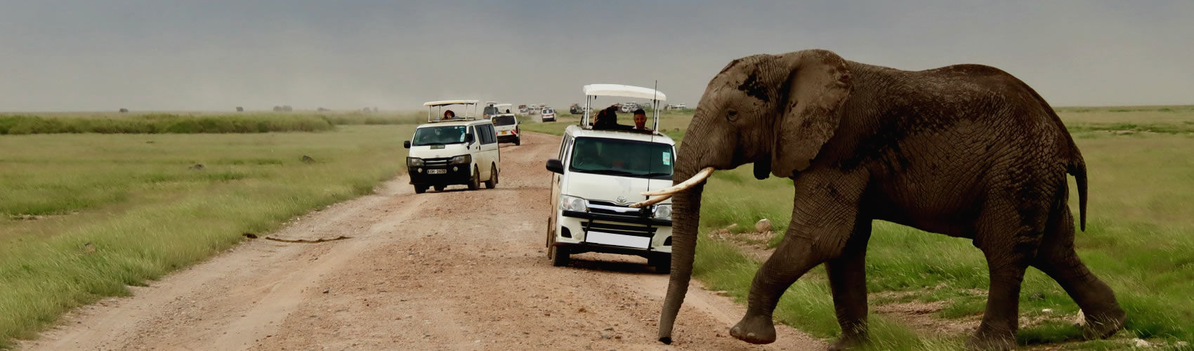 Uganda Luxury Safari Packages Overview