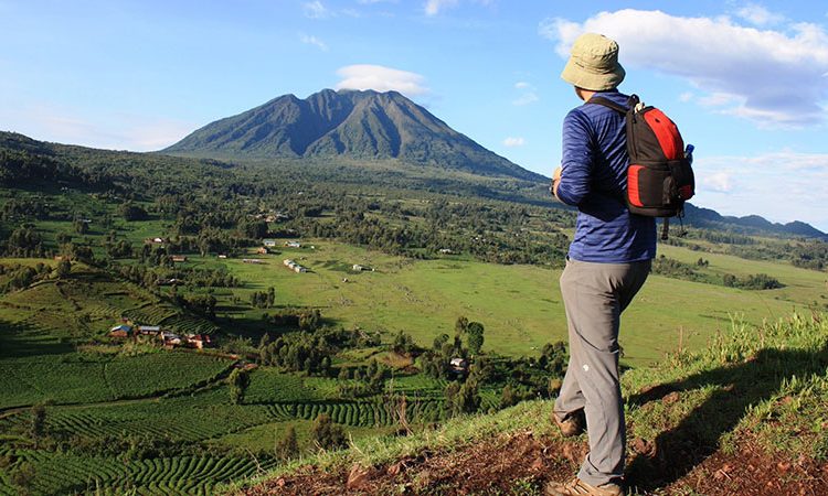 Uganda Mountain Hiking and Safari Combo