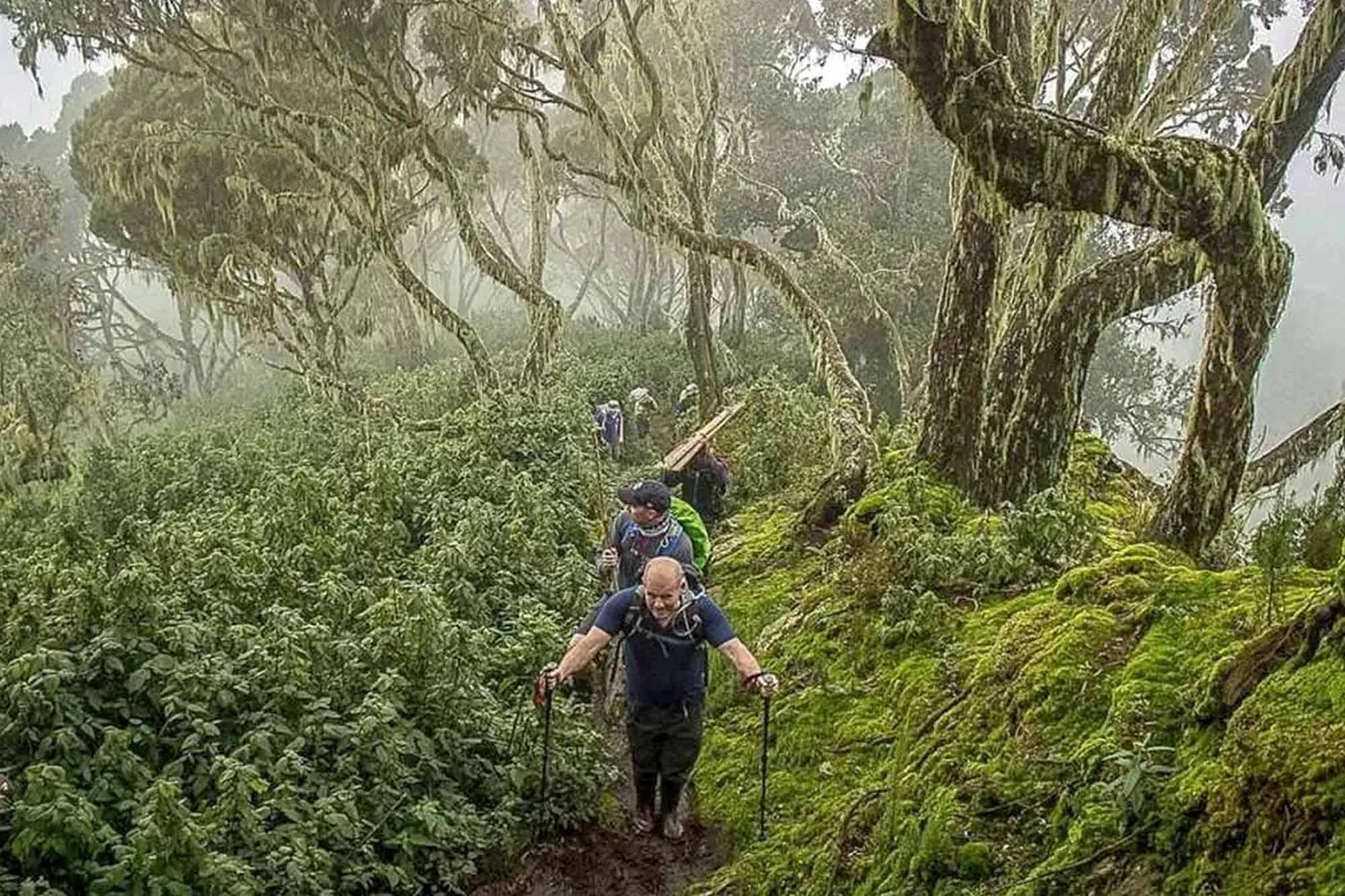 Uganda Mountain Hiking and Safari Combo