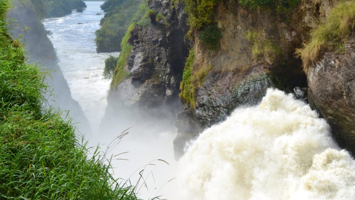 Uganda Murchison Falls Safari Tours