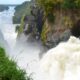 Uganda Murchison Falls Safari Tours
