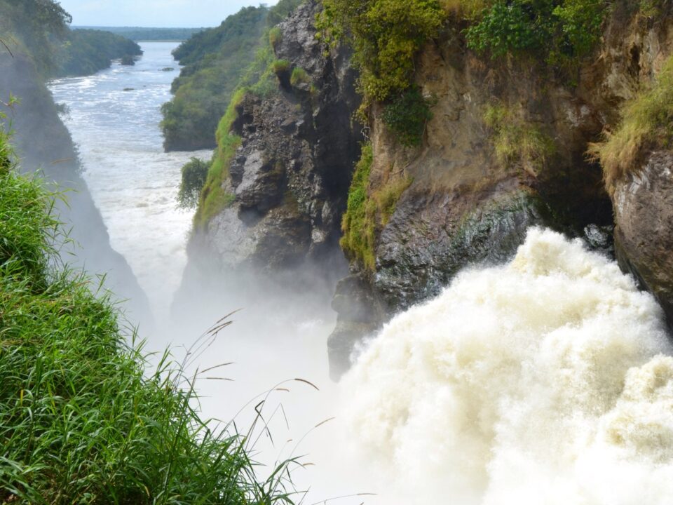 Uganda Murchison Falls Safari Tours
