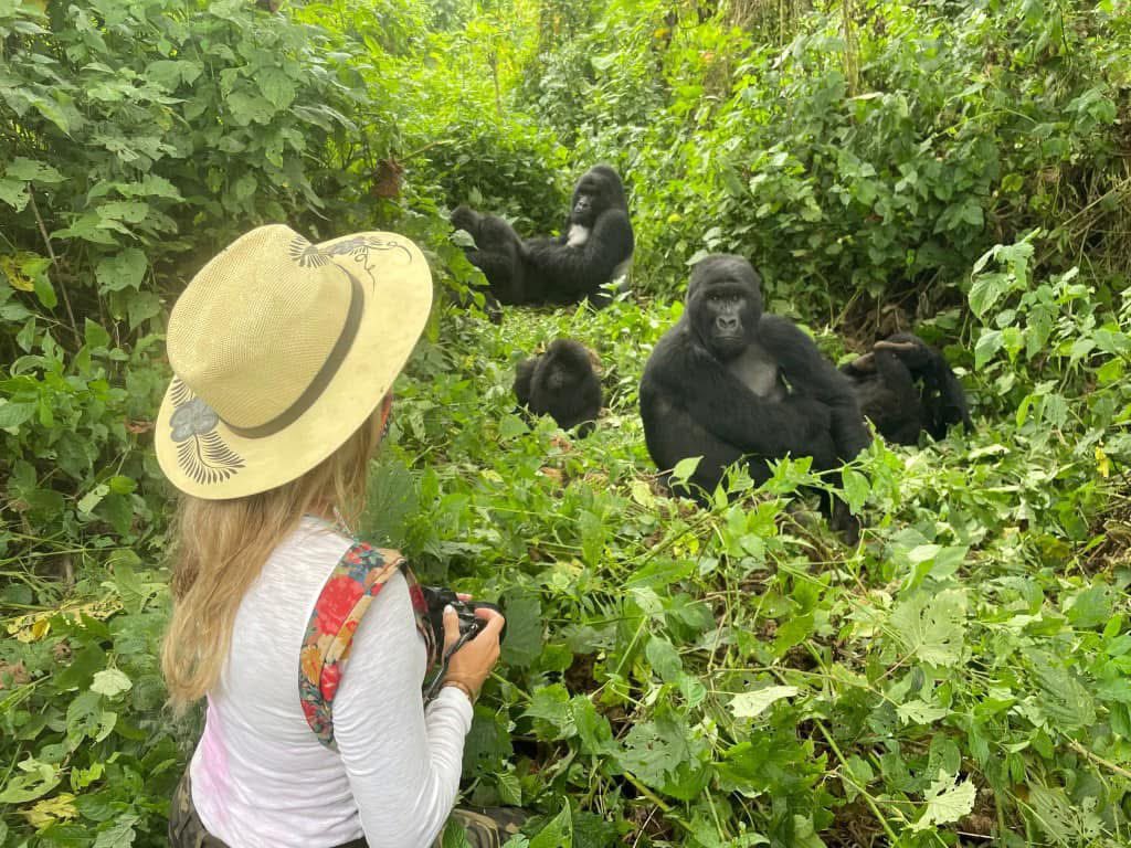 Uganda Safari Holidays: Complete Guide