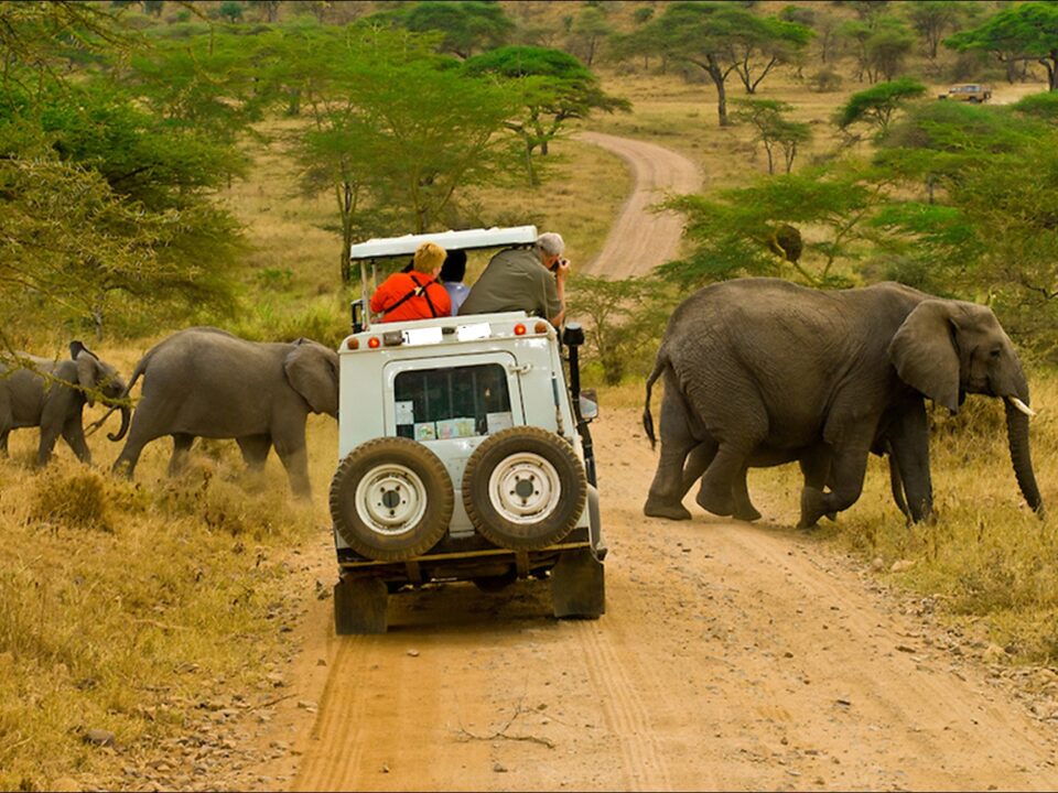 Uganda Safari Self-Drive Tips
