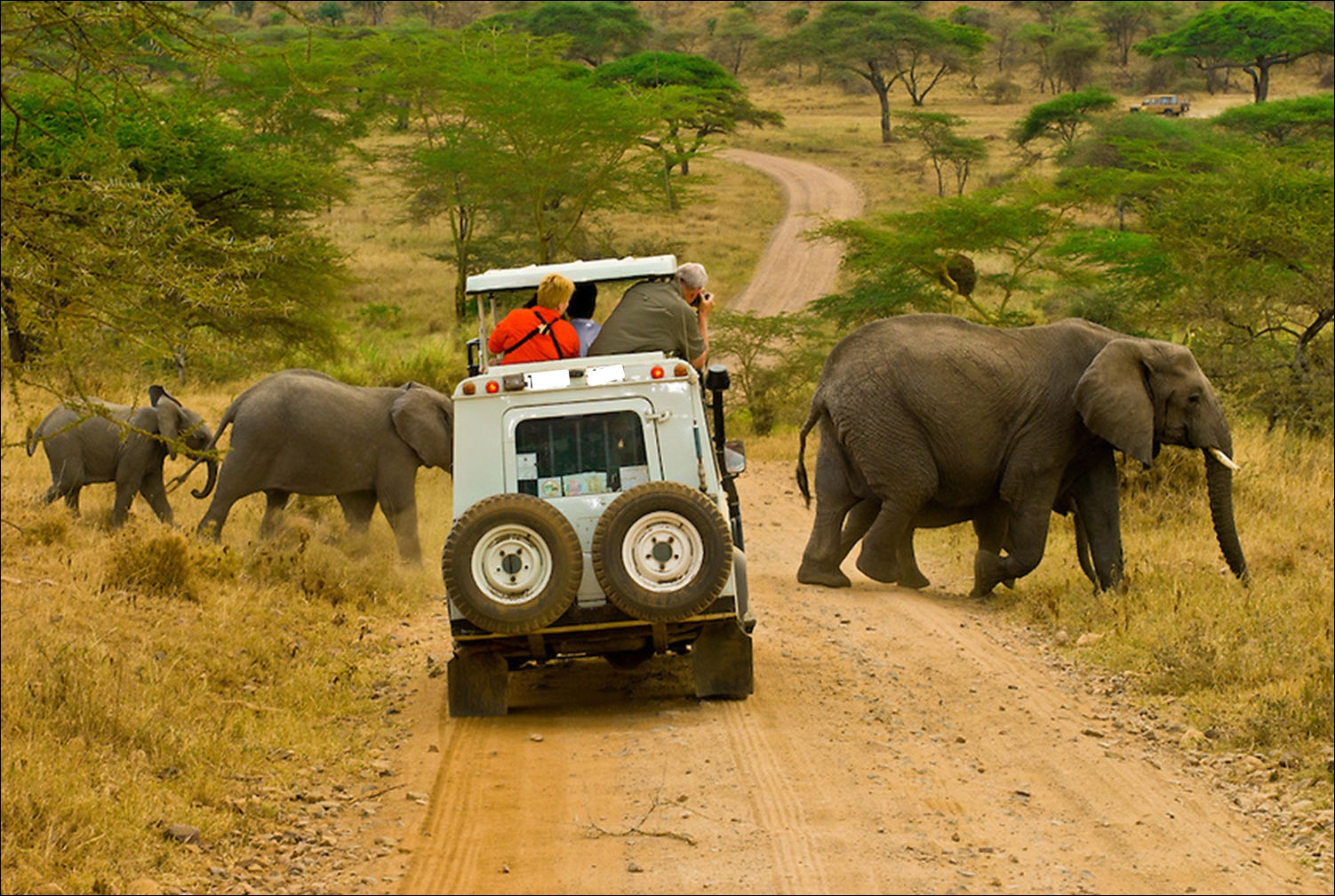 Uganda Safari Self-Drive Tips