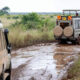 Uganda Safari Tours in Rainy Season