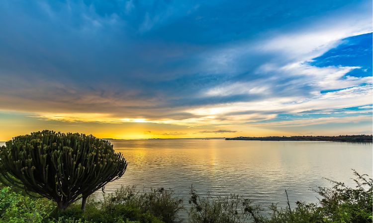 Uganda Safari Tours with Lake Victoria