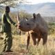 Uganda Safari Tours with Rhino Tracking