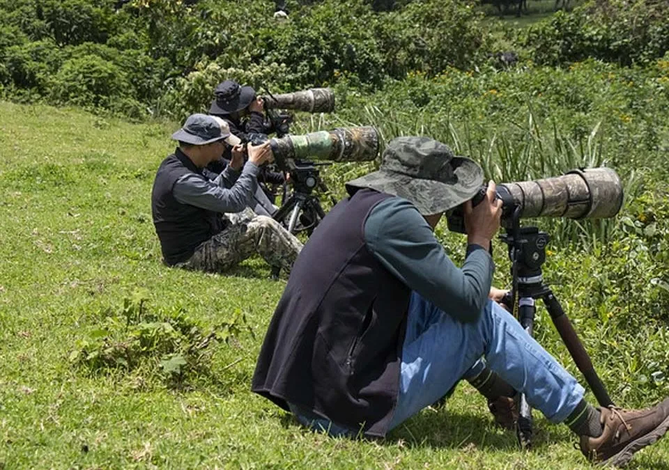 Uganda Tours: Best Places for Photography