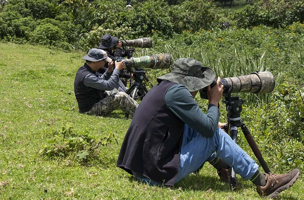 Uganda Tours: Best Places for Photography