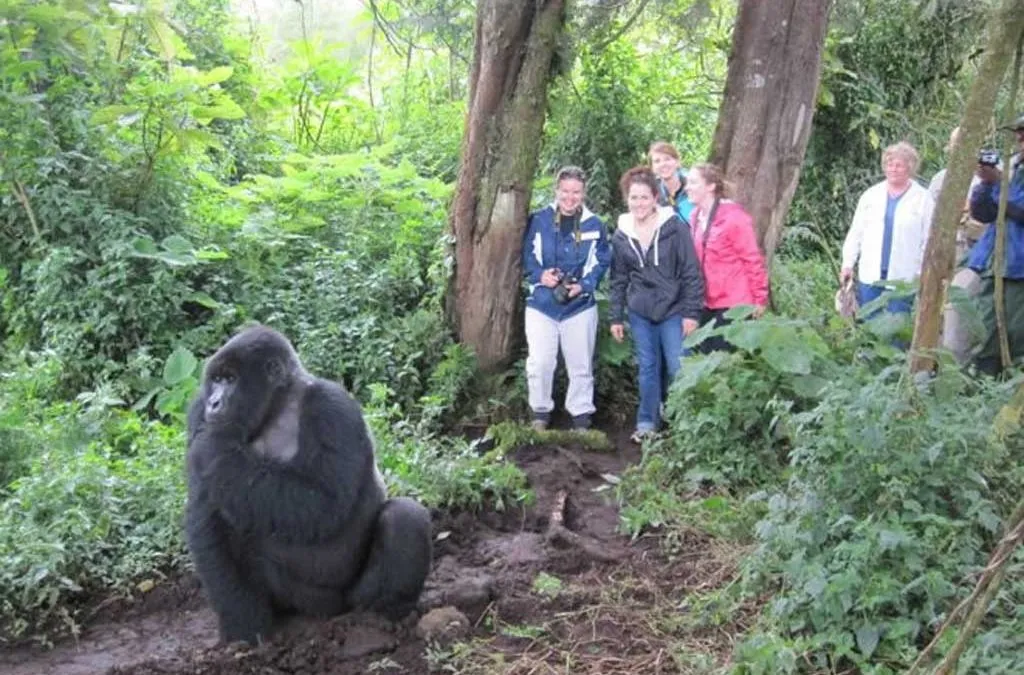 Uganda Tours: Best Places to Visit