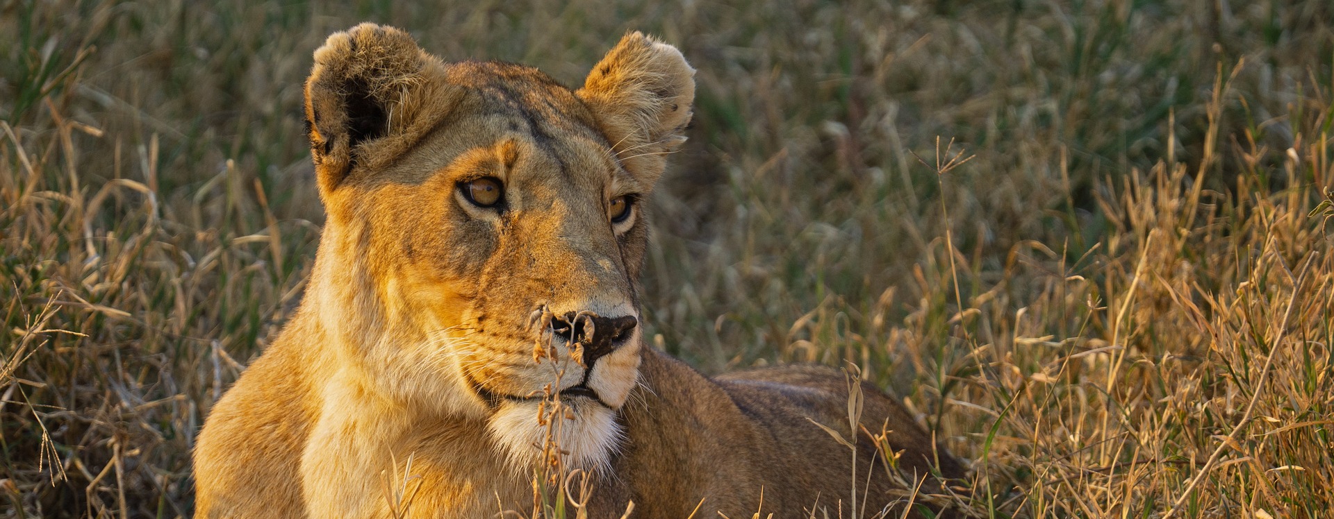 Uganda Tours Starting in Entebbe