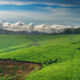 Uganda Tours for Eco-Friendly Travelers
