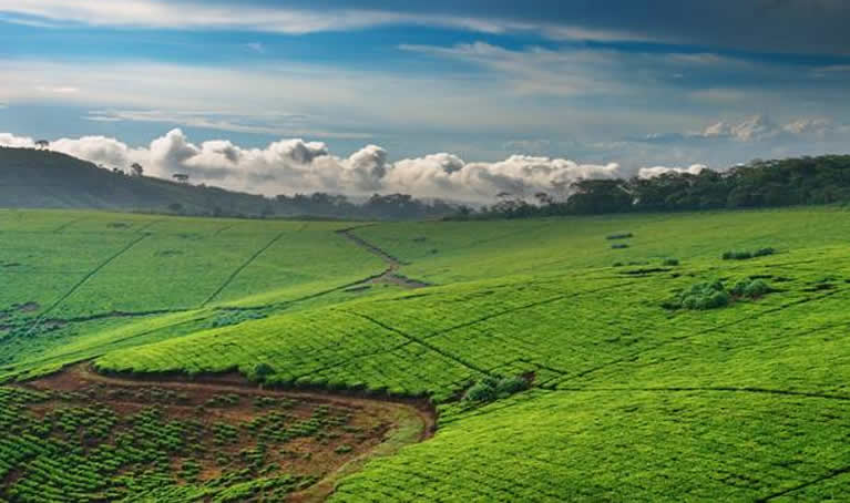 Uganda Tours for Eco-Friendly Travelers