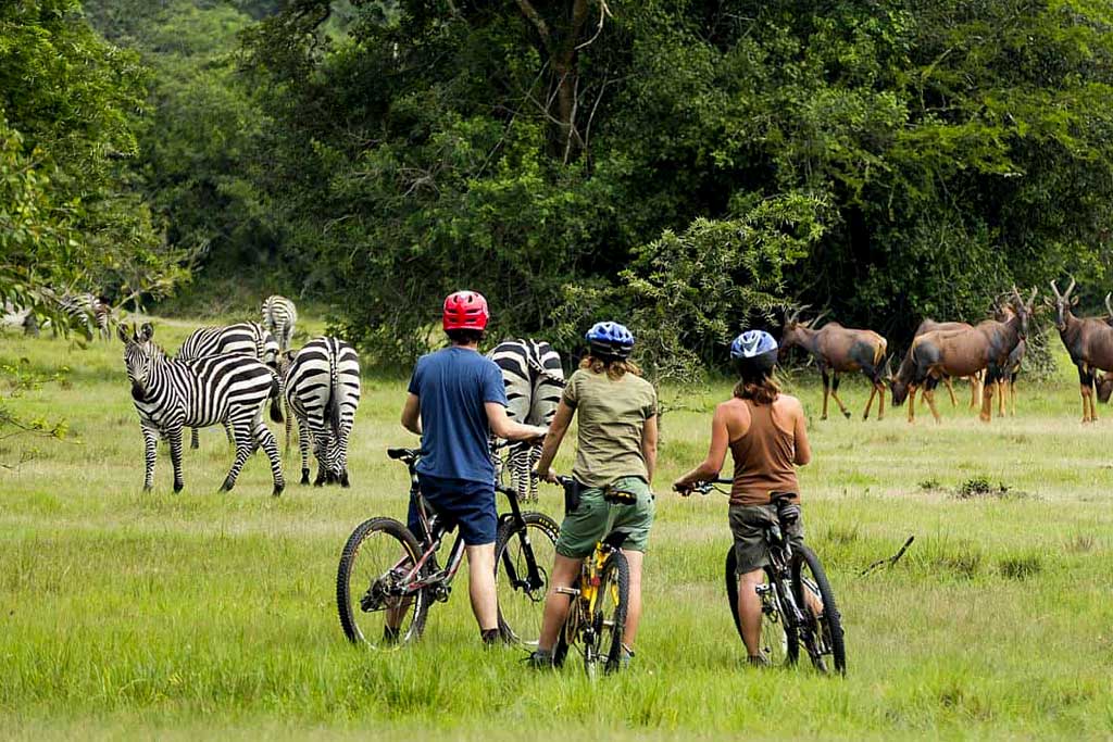 Uganda Wildlife Tours Near Kampala