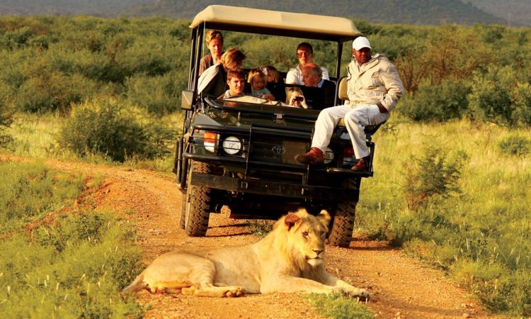 Uganda Wildlife Tours in Dry Season
