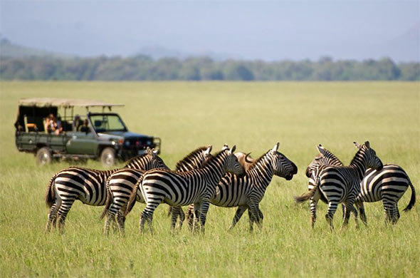 Uganda–Kenya Safari Packages