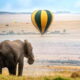 What animals can I see in Maasai Mara?