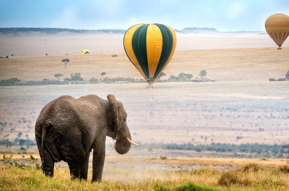 What animals can I see in Maasai Mara?