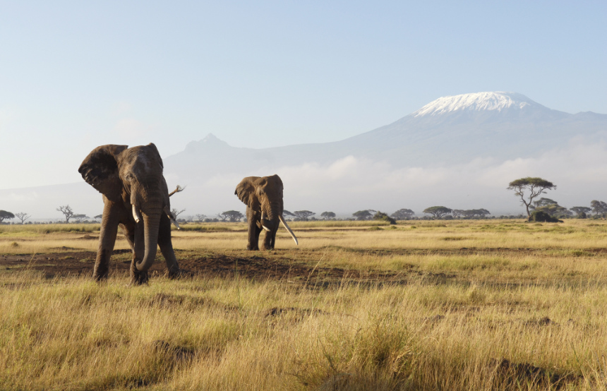 What are Kenya’s most photogenic landscapes?