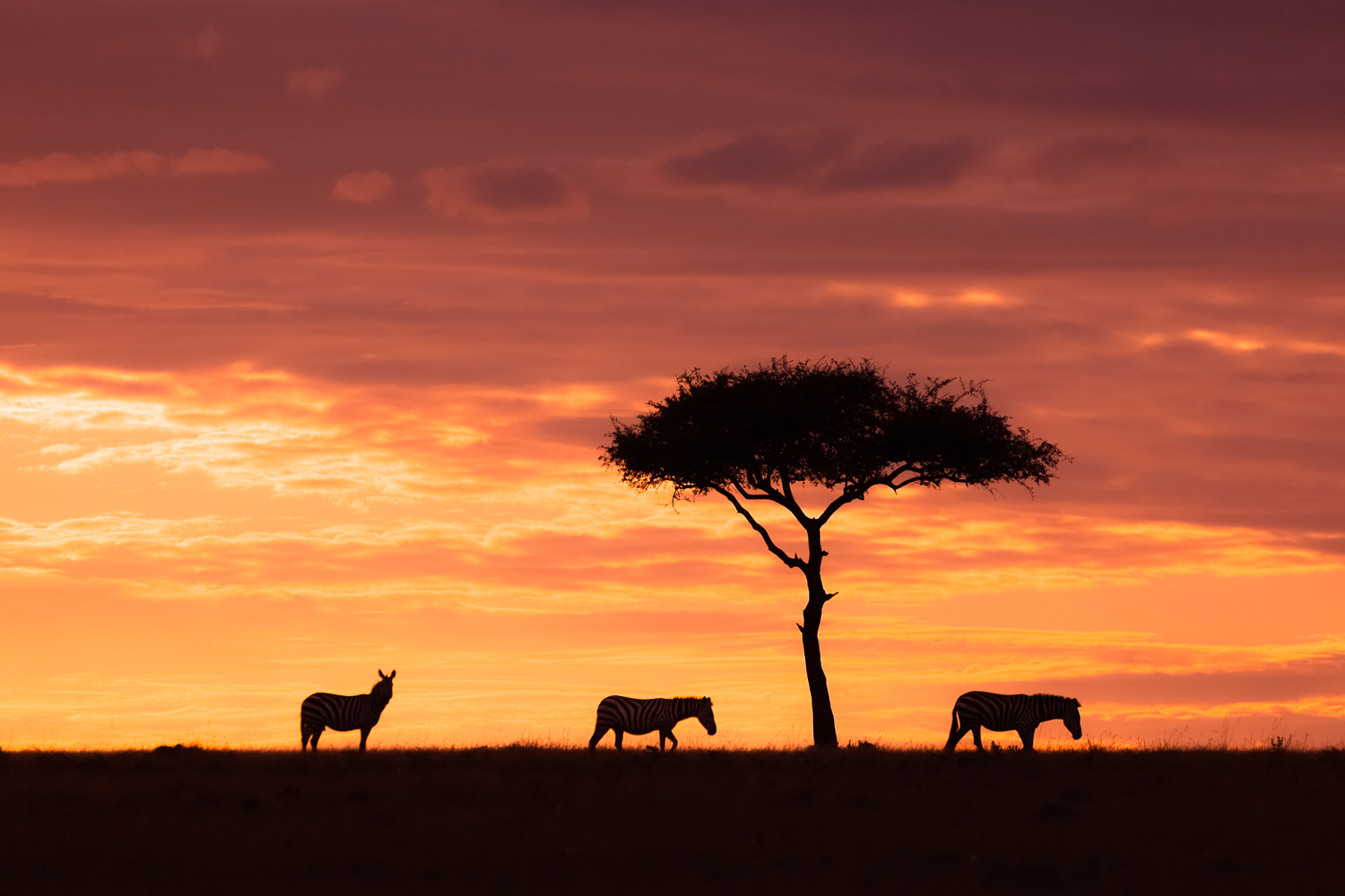 What are Kenya’s most photogenic landscapes?