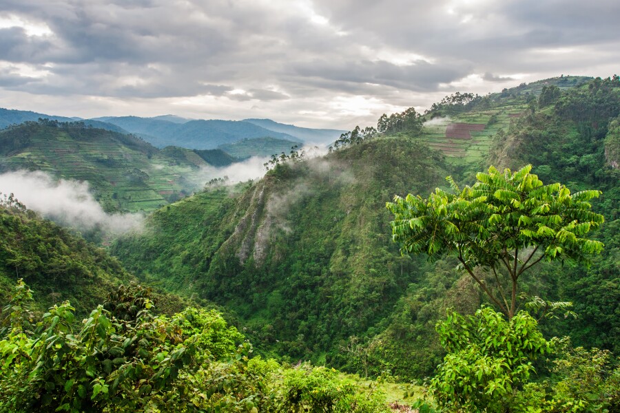 What are the hidden gems of Western Uganda?