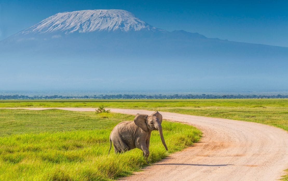 What are the most scenic drives in Kenya?