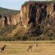 What’s special about Hell’s Gate National Park?