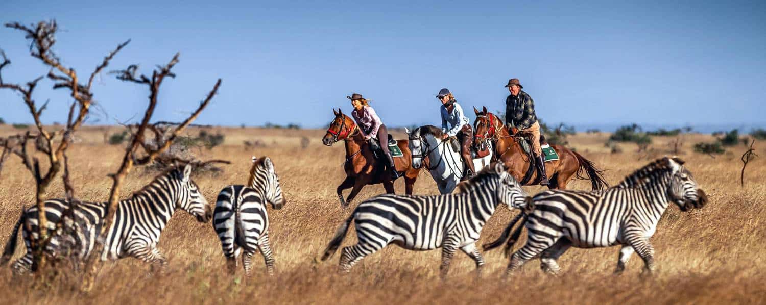 What’s special about Laikipia Conservancy?