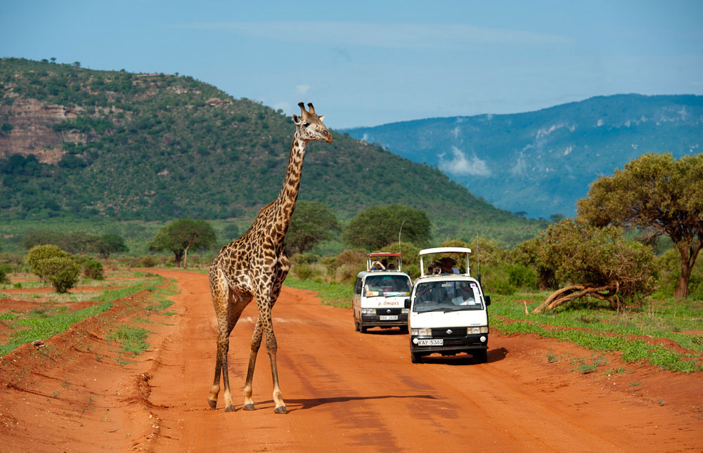 What’s special about Tsavo East and Tsavo West?
