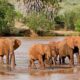 What’s special about Tsavo East and Tsavo West?