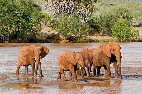 What’s special about Tsavo East and Tsavo West?