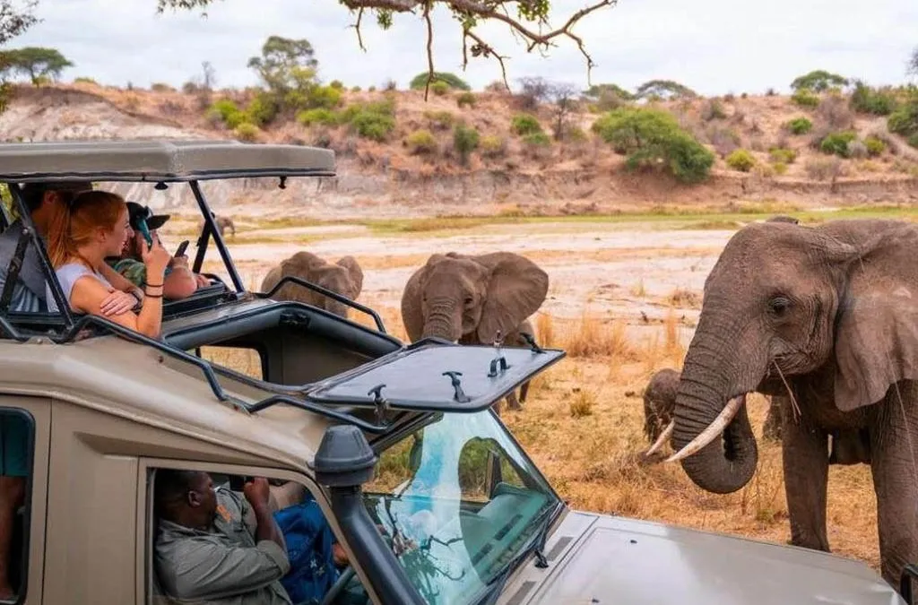 What’s the best 7-day Kenya safari itinerary?