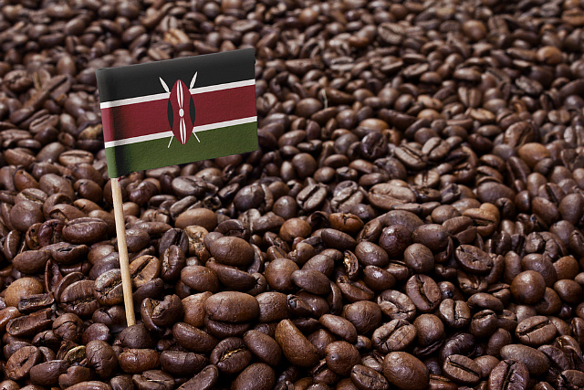 What’s the best coffee in Kenya?