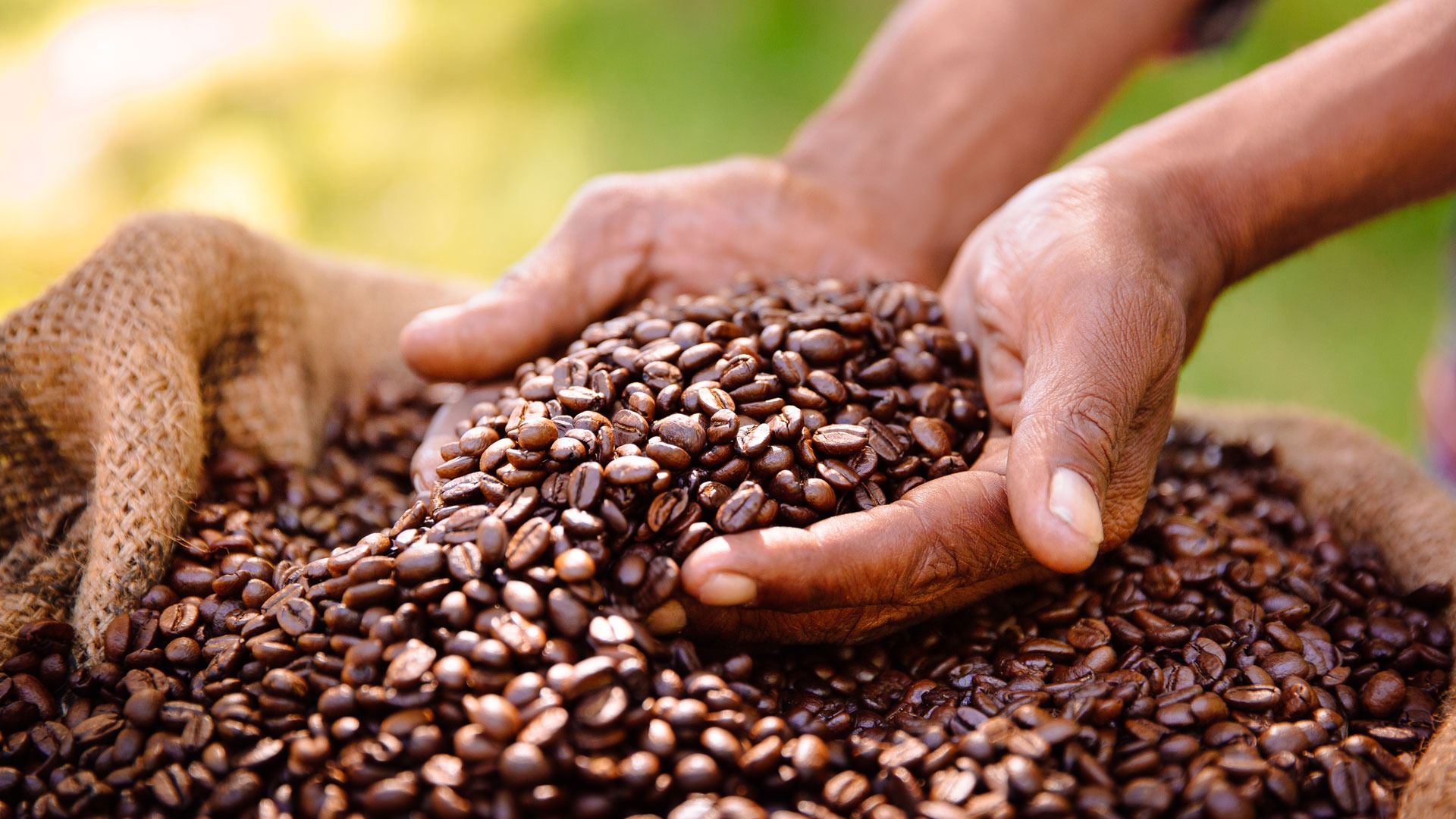 What’s the best coffee to buy in Uganda?