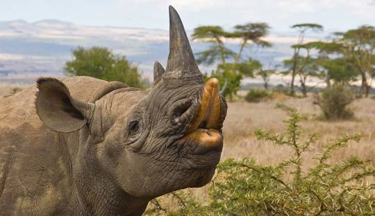 What’s the best hidden park in Kenya?