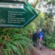 What’s the best hiking trail in Nyungwe?