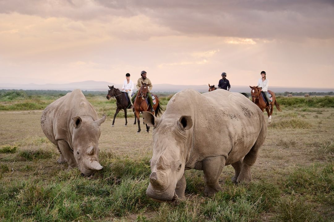 What’s the best luxury safari in Kenya?