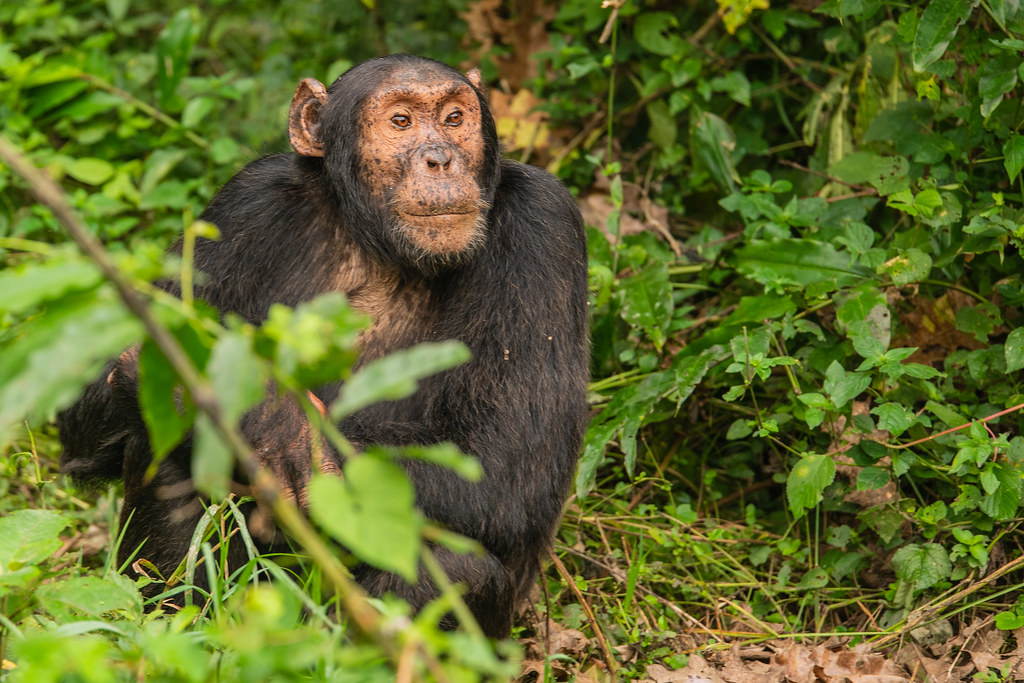 What’s the best national park for photographers?