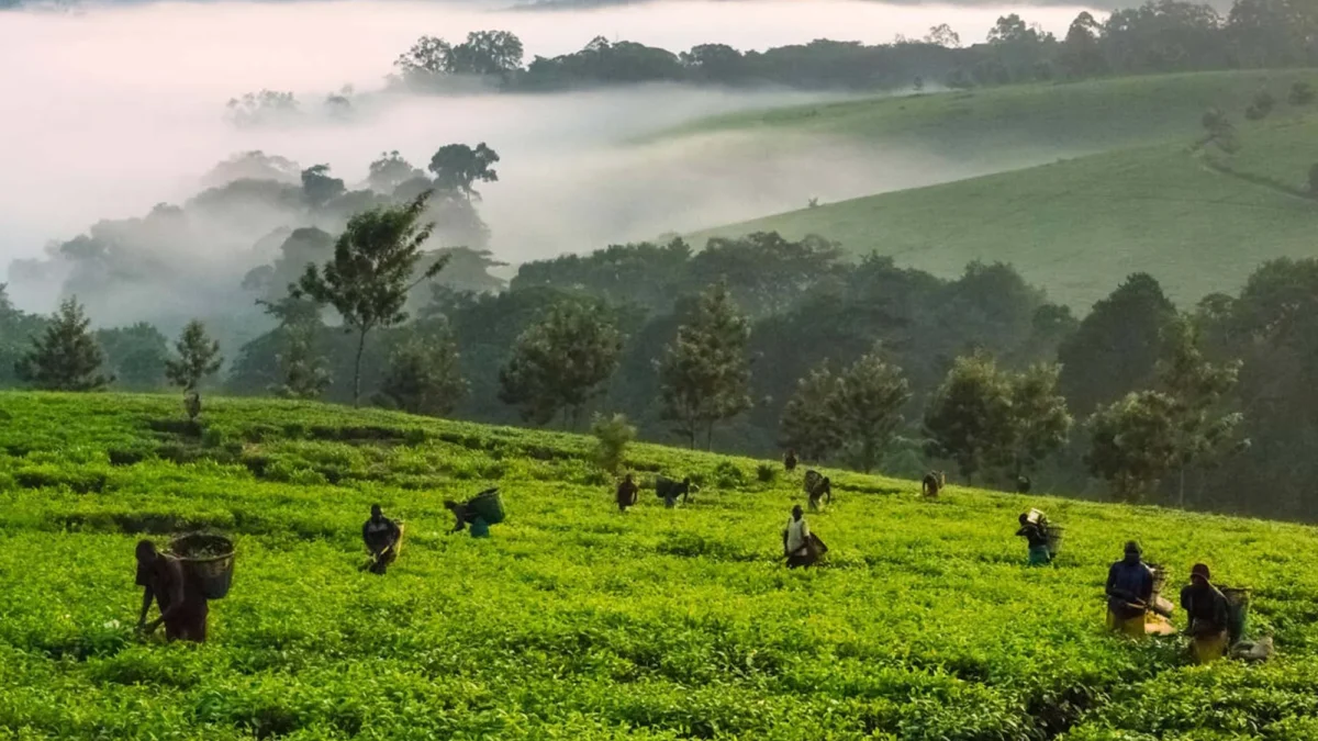What’s the best national park for photographers?